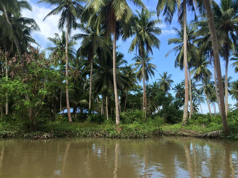 סוראט תאני Ruean Thai Nai Bang By Pansak Resort מראה חיצוני תמונה